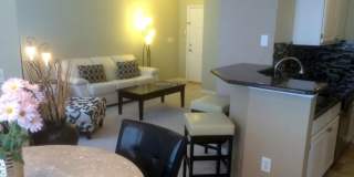 Aparment for rent Gallery 8