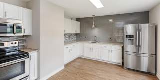 Zen Chaska Zen Chaska Gallery 34