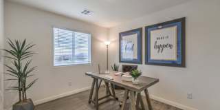 Shadow Bay Gallery 16