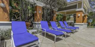 4207 South Dale Mabry HighwayUnit 8201 Gallery 21