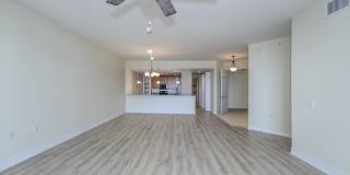 PET FRIENDLY UNFURNISHED ELEVATED PENTHOUSE LIVING WITH PRIVATE ELEVATOR Gallery 15