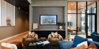 The Tolman Gallery 12