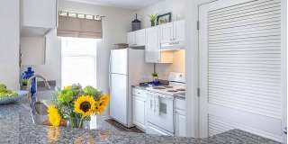 The Islands of Fox Chase Gallery 6