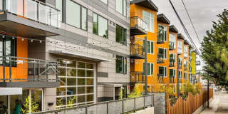 Janus Janus Gallery 19