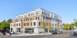 The Bradford Gallery 33