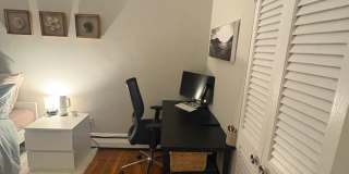 See YT Video!  No Fee!  Huge & Sunny Apt near Ts & Cleveland Cirlce.  Cat Friendly Gallery 3