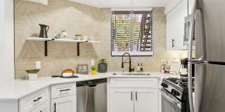 San Portella Gallery 1