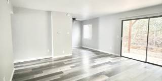 204 Pine Street Gallery 1