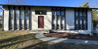 244 Newport Rd Gallery 1