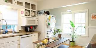 Charming 4BR/2BA Home Near MSU – Huge Bedrooms, Fenced Yard + Off-Street Parking! Charming 4BR/2BA Home Near MSU – Huge Bedrooms, Fenced Yard + Off-Street Parking! Gallery 1