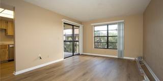 6142 Whiskey Creek Drive Gallery 8