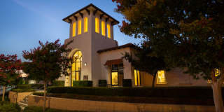 Vineyards at Paseo Del Sol Gallery 1