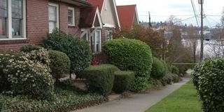 2529 Eastlake Avenue E Gallery 1