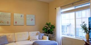 4792 Kerry Lynn View - 1 Gallery 10