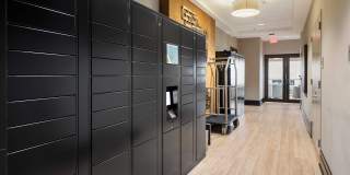 Cortland on South Eads Gallery 30