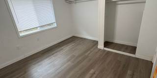 Charming 1 Bed / 1 Bath, Centrally Located! Gallery 12