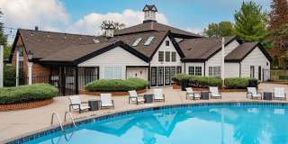 Steeplechase Gallery 45