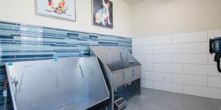 Avalon Southlands Gallery 17