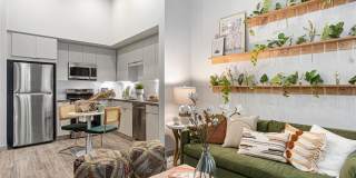 Jefferson Cenza Gallery 19
