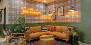 Novi at Lowry Gallery 1