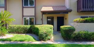 Beautifully Renovated 2-Bedroom Townhome in Clearwater Gallery 1