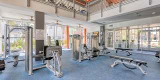 Boardwalk by Windsor Gallery 33