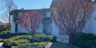 Spacious Updated 2 bed , 1 Bath Gallery 1