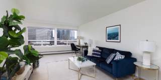 The Larkspur Gallery 8