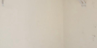 21227 DELEVAN Way Gallery 28