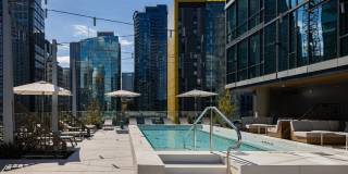 The Ivey on Boren The Ivey on Boren Gallery 32