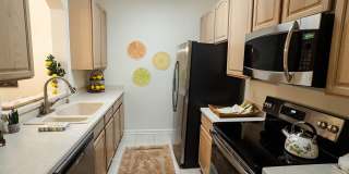 581 BRANTLEY TERRACE WAY Gallery 16