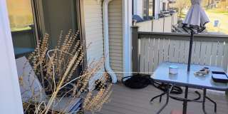 3061 Pheasant Creek Drive Gallery 29