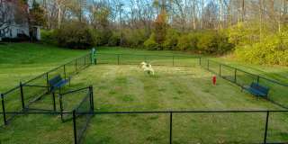 Lake Forest Apartments Gallery 12