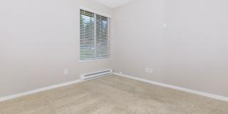 Carrington Gallery 55