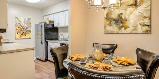 Canter Chase Gallery 24