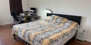 175 Maple Avenue Gallery 4