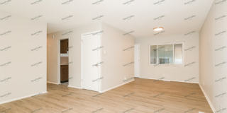 6 Alandale Court Gallery 6