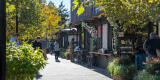 Crystal Place Gallery 43