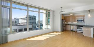 The Grand Gallery 50