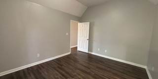 9532 Chi Chi Cv Gallery 13