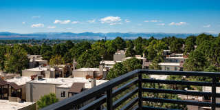 Vine at Panorama Gallery 11