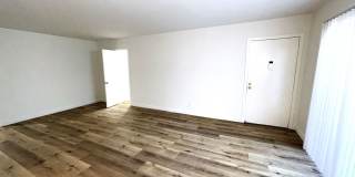 10908 Rose Gallery 8
