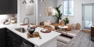 Mysa at The Crossing Gallery 2