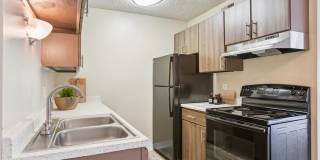 Montebello Gardens Gallery 1