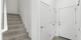 Annex at Cadence Gallery 11