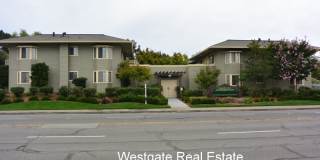 Lovely 1 Bedroom/1 Bathroom West Petaluma Condo Available Now Gallery 1