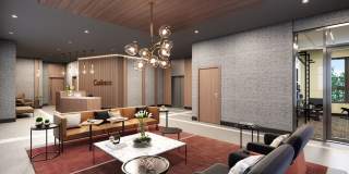 Cadence on Leo Gallery 14