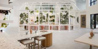 Cloud House Gallery 7