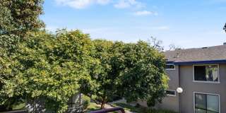 Lovely, Light-Filled 2 Bedroom, 2 Bath Condo Gallery 1
