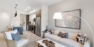 Suriana Boca Gallery 13